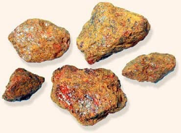 Biện pháp chống mối mọt